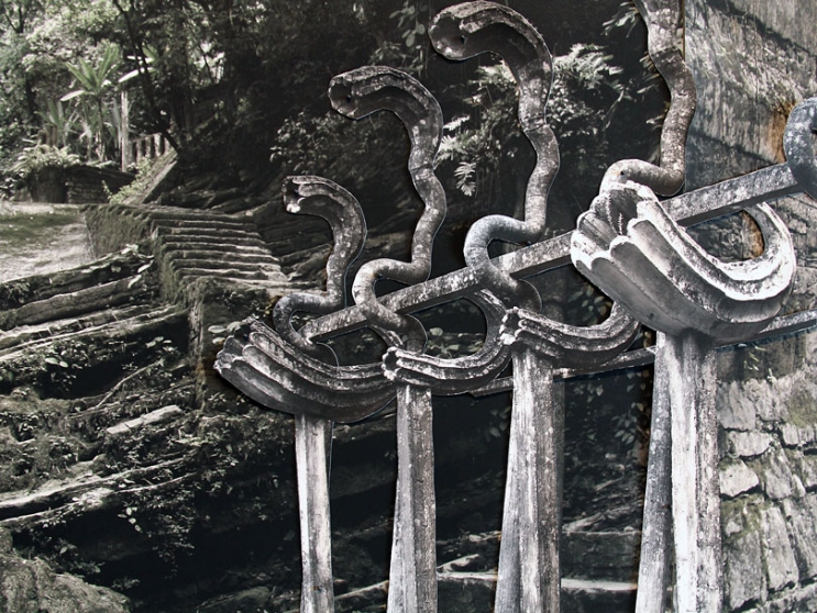 http://www.cust30.mirunadragan.com/files/gimgs/th-6_IMG_2470_Xilitla_W.jpg