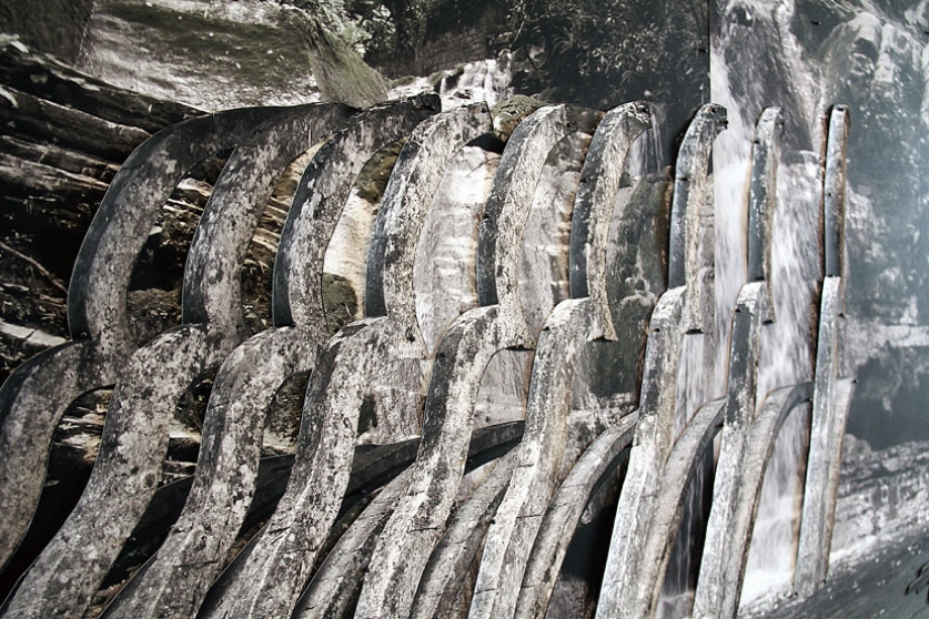 http://www.cust30.mirunadragan.com/files/gimgs/th-6_IMG_2473_Xilitla_W.jpg