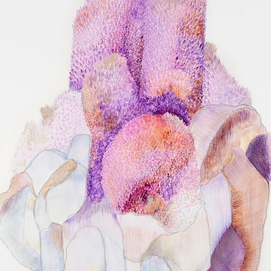 http://www.cust30.mirunadragan.com/files/gimgs/th-23_Erratics-Draw3-detail-web_v2.jpg