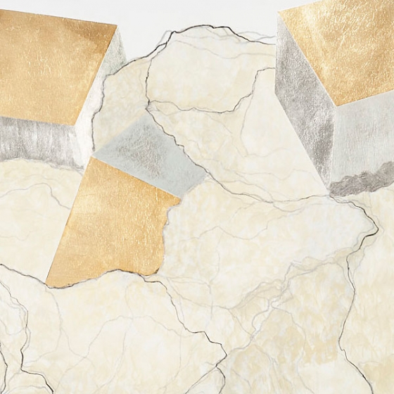 http://www.cust30.mirunadragan.com/files/gimgs/th-23_Erratics-Draw1-detail-web_v3.jpg
