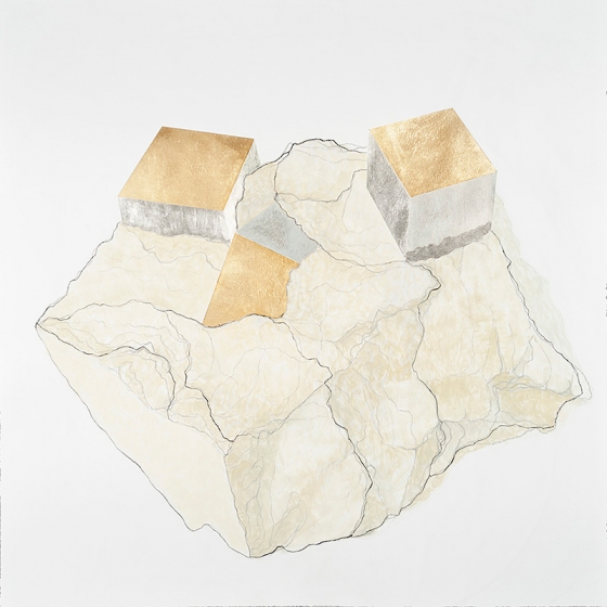 http://www.cust30.mirunadragan.com/files/gimgs/th-23_Erratics-Draw1-web_v3.jpg